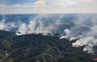 Saxony: Hard job in the Saxon Switzerland forest fire...