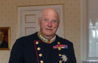 King Harald of Norway: Palace releases health update