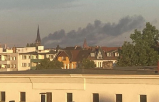 Accident: Berlin: Fire in Grunewald after accidental...