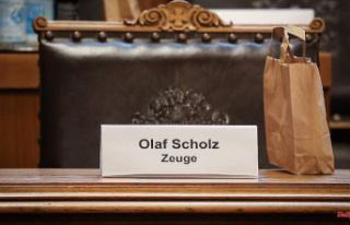 Caricature of a survey: Annoyed MPs advise Scholz...
