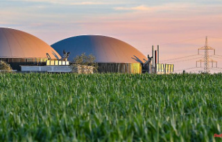 Expensive and not very environmentally friendly: biogas...