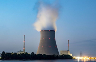 Nuclear power plants: Heated discussion about paper...
