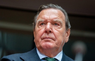 Gerhard Schröder and the SPD: Party lawyer: Why the...