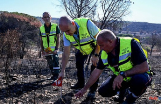 Firefighters, gendarmes and foresters investigate...