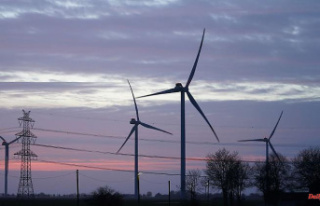 Bavaria: State forests want to auction sites for wind...