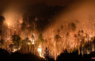 Saxony: Fighting forest fires in the Czech Republic...