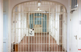 Bavaria: New program to protect convicts from imprisonment
