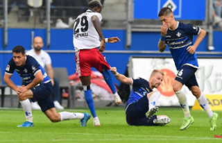 Violence and trouble in Magdeburg: The HSV goes down...