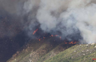 Forest fire in the nature park: 1,500 emergency services...