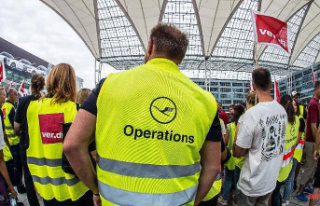 Another strike averted: Lufthansa and Verdi reach...