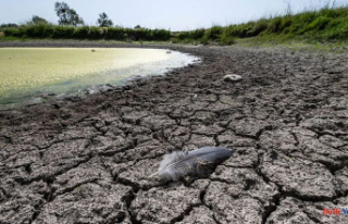 France again under heat wave and prolonged drought