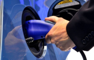 Association calls for the end of tax breaks for plug-in...