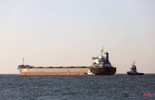 War in Ukraine: five new grain cargo ships are due...