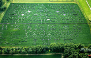 Bavaria: corn maze with record size