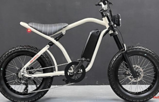 Pedelec with moped airs: e-moped Uni Viper - city...