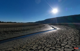 The government caught up in the historic drought in...