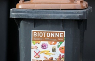 Waste: More organic bins, more gas? Garbage industry...