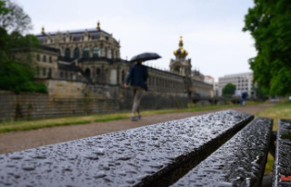 Saxony: Heavy rain brings relief after a long drought