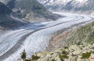 Fatal plane crash: Glacier releases wreckage after...