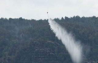 Saxony: forest fire in Saxon Switzerland: waiting...