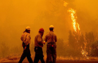 Fire: Forest fire in northern California continues...