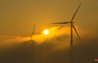 Expansion standstill of wind power: "Where is...