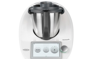 Food processor: Thermomix alternatives: These models...