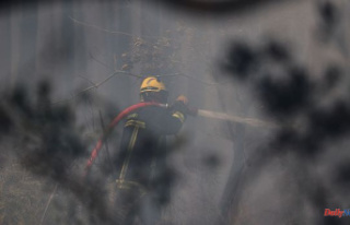 Fire in the Drôme: 220 hectares burned, the fire...