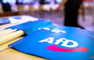 Entrepreneur withdraws lawsuit: AfD can keep 100,000...