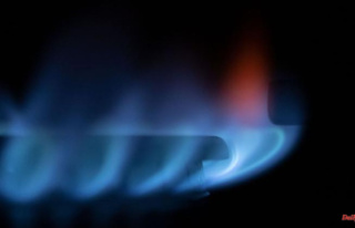 Criticism does not stop: gas allocation under fire...