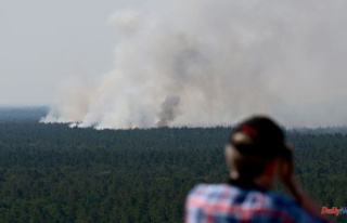 Germany: munitions explosions and forest fires in...