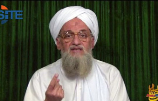 US killed al-Qaeda leader Zawahiri (media)
