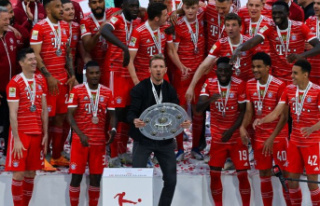 Bundesliga: Unity in the league: Bayern becomes champion...