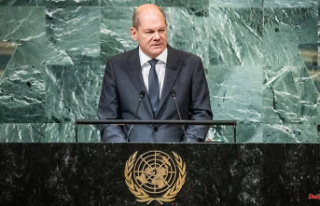 Chancellor speaks to UN: Scholz: "Putin is ruining...