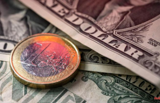 Gas delivery freeze depresses currency: euro falls...