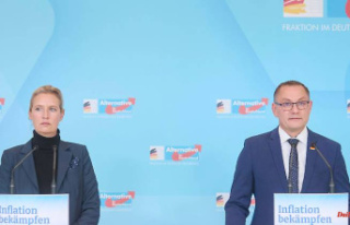 Party leadership in embarrassment: AfD politicians...