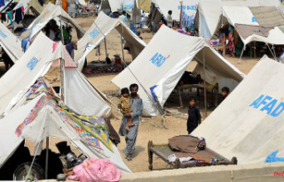 'Lost everything': Flood plunges Pakistanis...