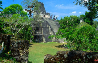 Critical Levels: Mayan sites often contaminated with...