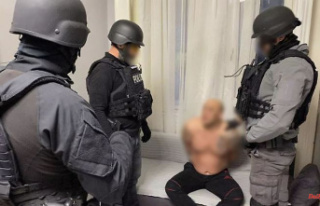 Couple arrested in Berlin: Europol breaks up Hungarian...