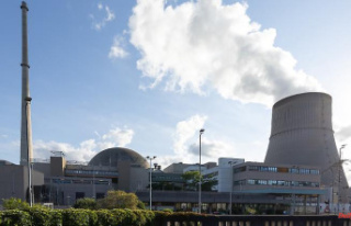 Dispute over nuclear power plant terms: Greens call...