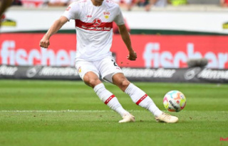 Baden-Württemberg: Seven VfB professionals with their...