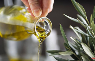 13 are "good": Four olive oils fail with...