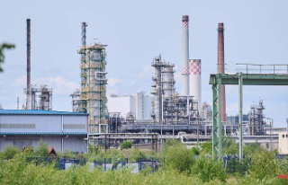 Participation in refineries: Federal government takes...