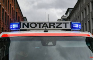 Bavaria: car crashes into truck: mother dies, sons...