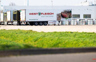 Seven companies reported: cruelty to animals at Westfleisch...