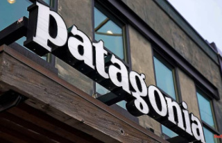 "The earth is the only shareholder": Patagonia...