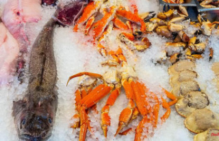 HEALTHY AND SUSTAINABLE: Seafood is better than meat