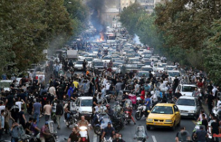 Violence against demonstrators: Berlin orders an Iranian...