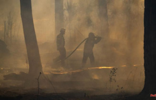 North Rhine-Westphalia: Forest fire in the Soest district:...