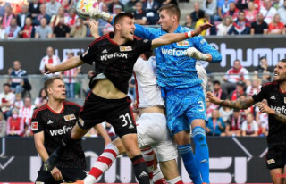 Cologne loses undefeated duel: Suddenly FC Bayern...